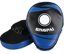 Load image into Gallery viewer, GINGPAI Target Pads