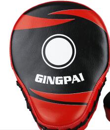GINGPAI Target Pads