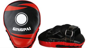 GINGPAI Target Pads