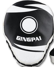 Load image into Gallery viewer, GINGPAI Target Pads