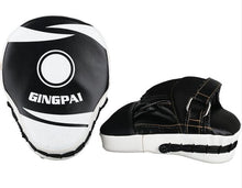 Load image into Gallery viewer, GINGPAI Target Pads
