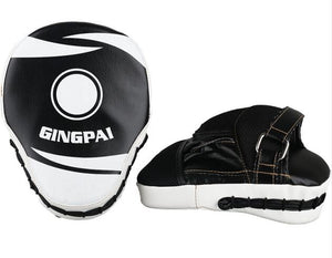 GINGPAI Target Pads