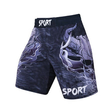 Load image into Gallery viewer, Combat Sports Shorts
