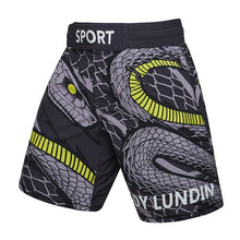 Load image into Gallery viewer, Combat Sports Shorts
