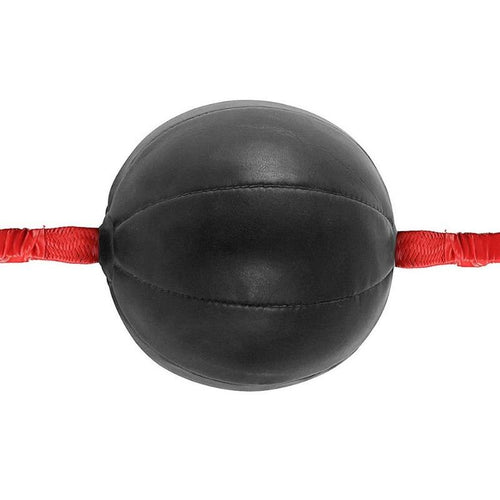 Double End Boxing Speed Ball